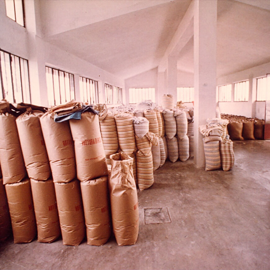 Riseria Re Carlo - Foto storiche - Riso italiano di qualità dalle pianure vercellesi - Carnaroli, Arborio, Baldo, Cammeo, Sant'Andrea, Rosa Marchetti, Semigreggio, Ermes, Venere, Apollo